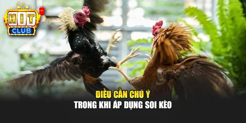 Điều cần chú ý trong khi áp dụng soi kèo